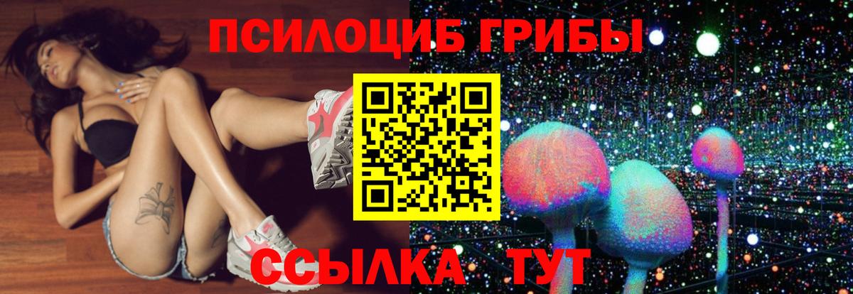 Майский  Псилоцибиновые грибы MAGIC MUSHROOMS  что такое наркотик  Вход с VPN 